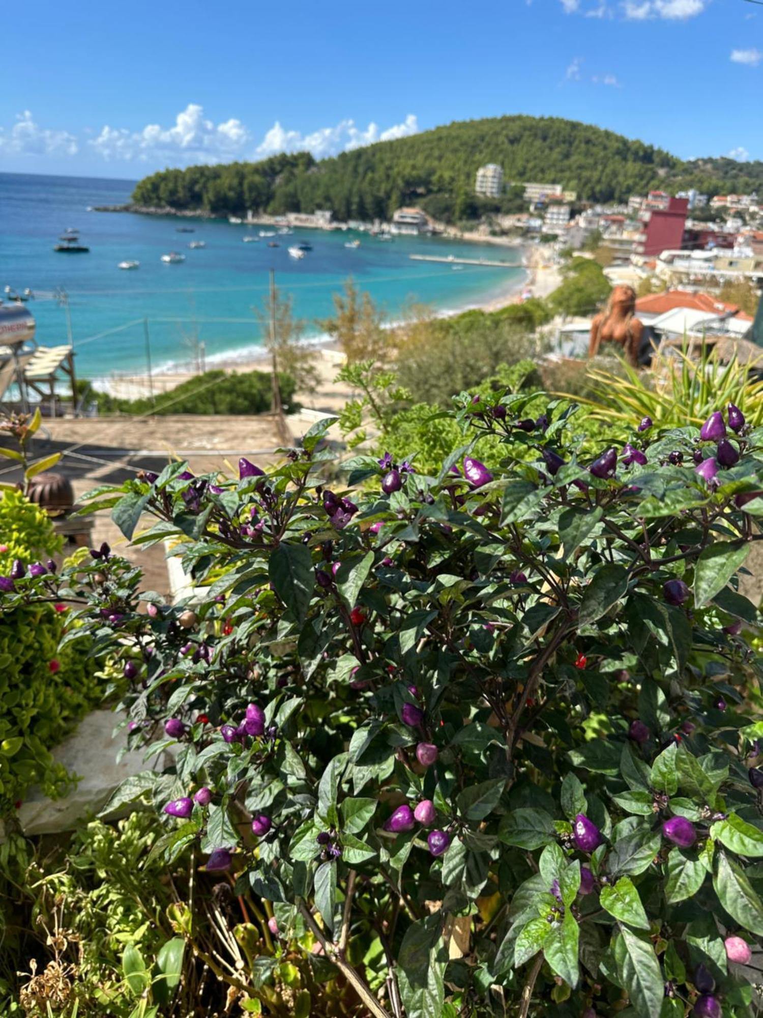Fane'S Apartments Himare Bagian luar foto